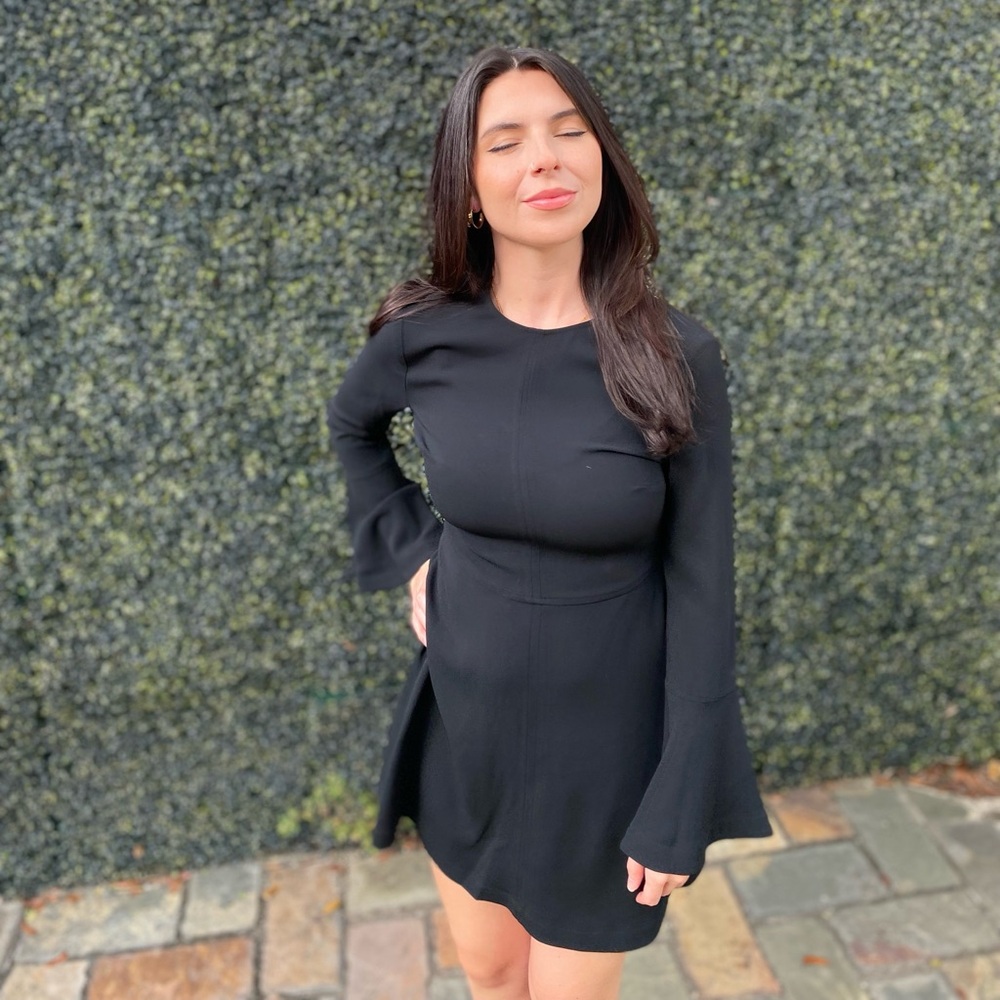 A.L.C little black dress